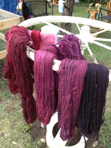 Skeins Dyed with Cochineal