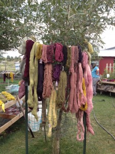 Yarn bombing? Yarn drying!